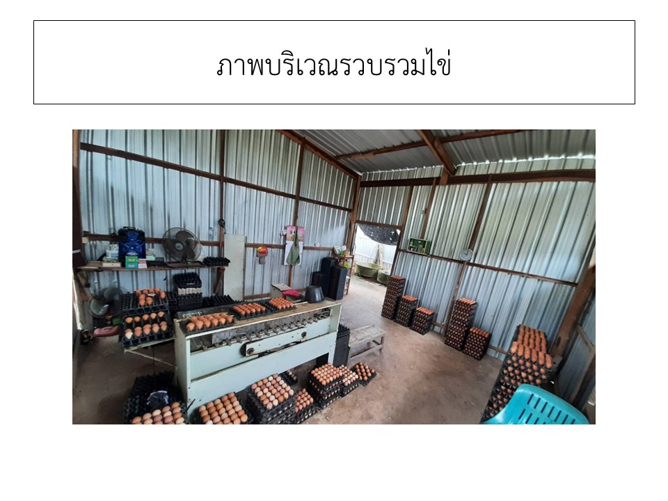สไลด13