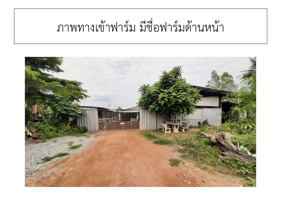 สไลด2