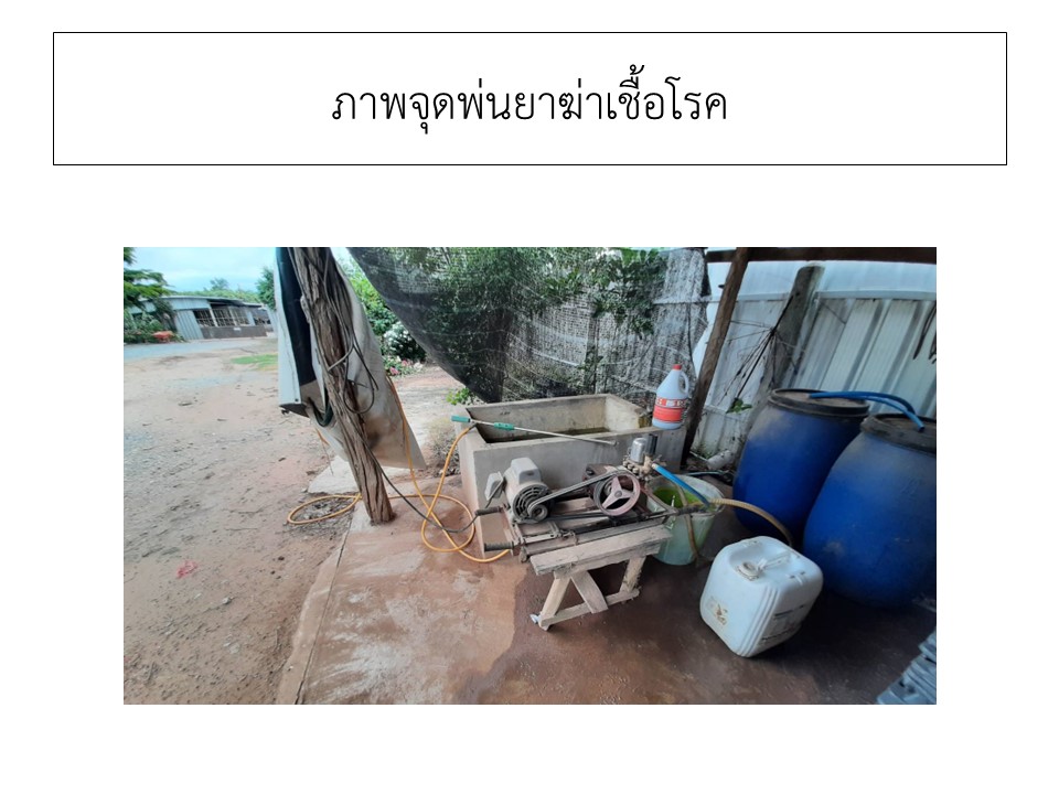 สไลด6
