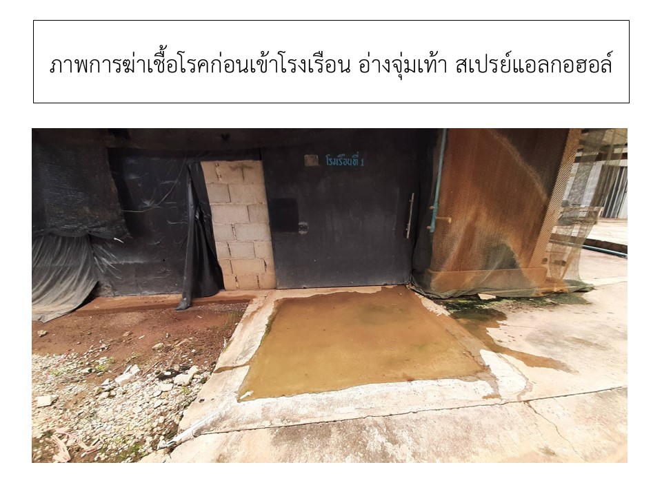 สไลด7
