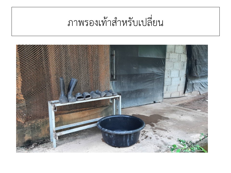 สไลด8