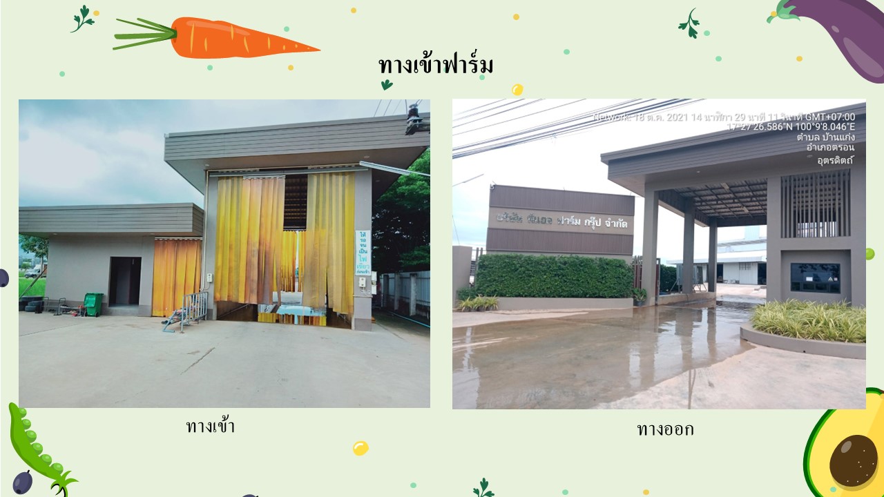 สไลด1