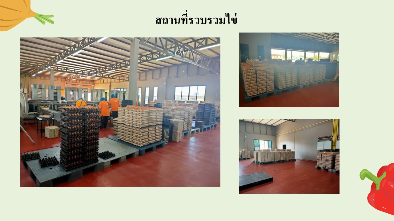 สไลด10