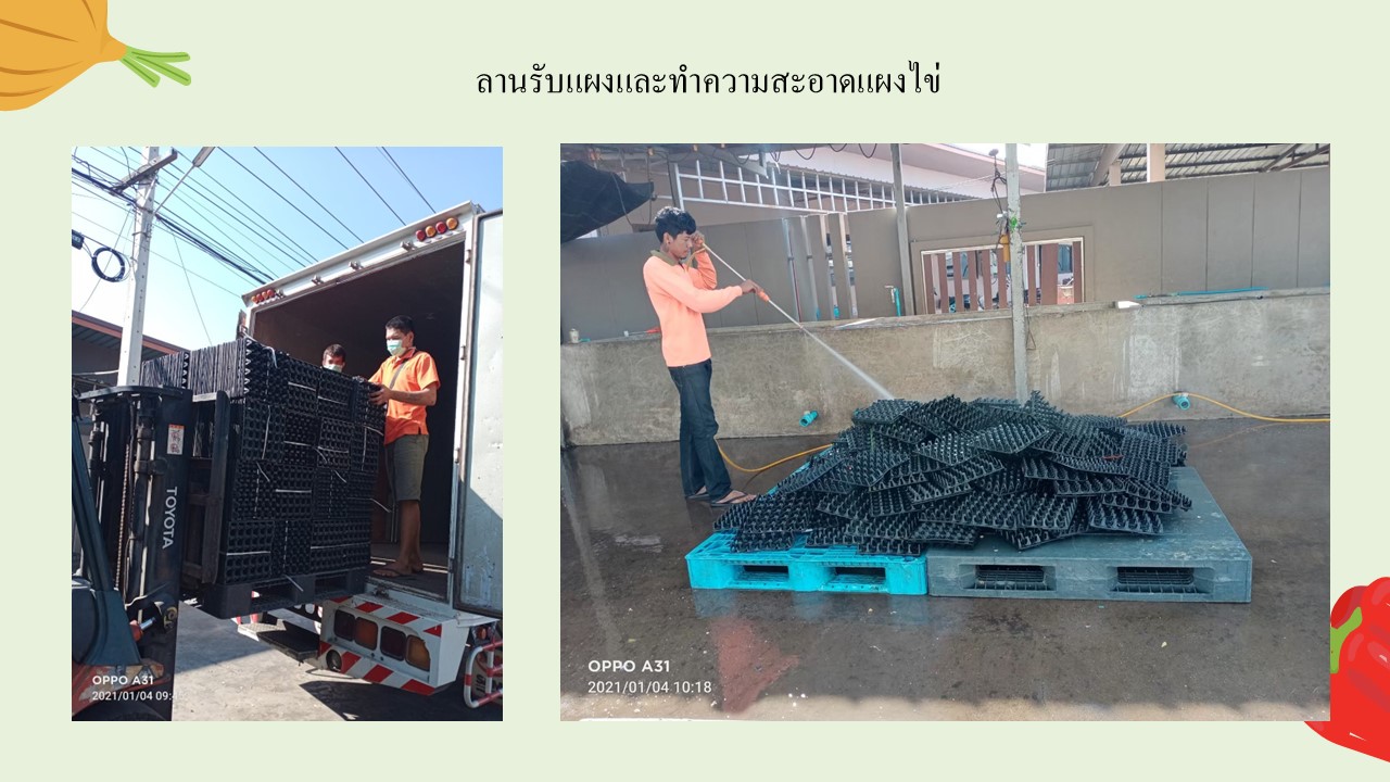 สไลด11
