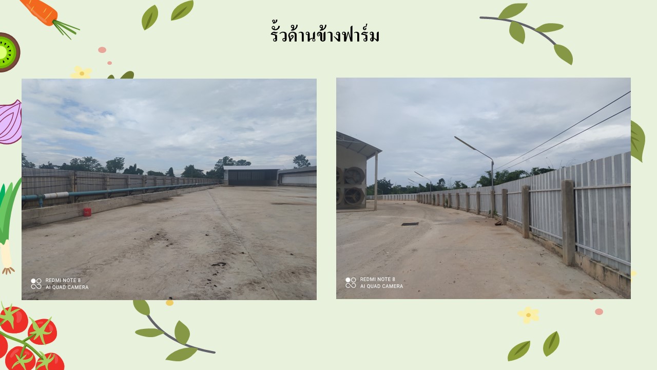 สไลด3