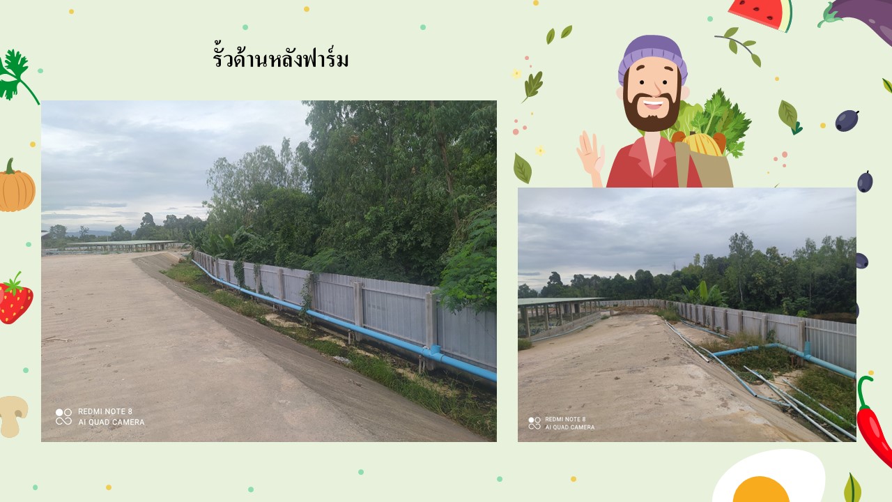 สไลด4