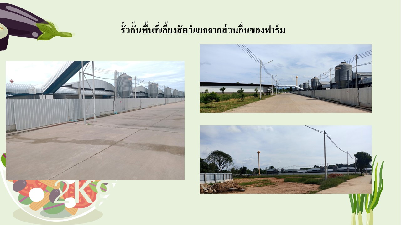สไลด5