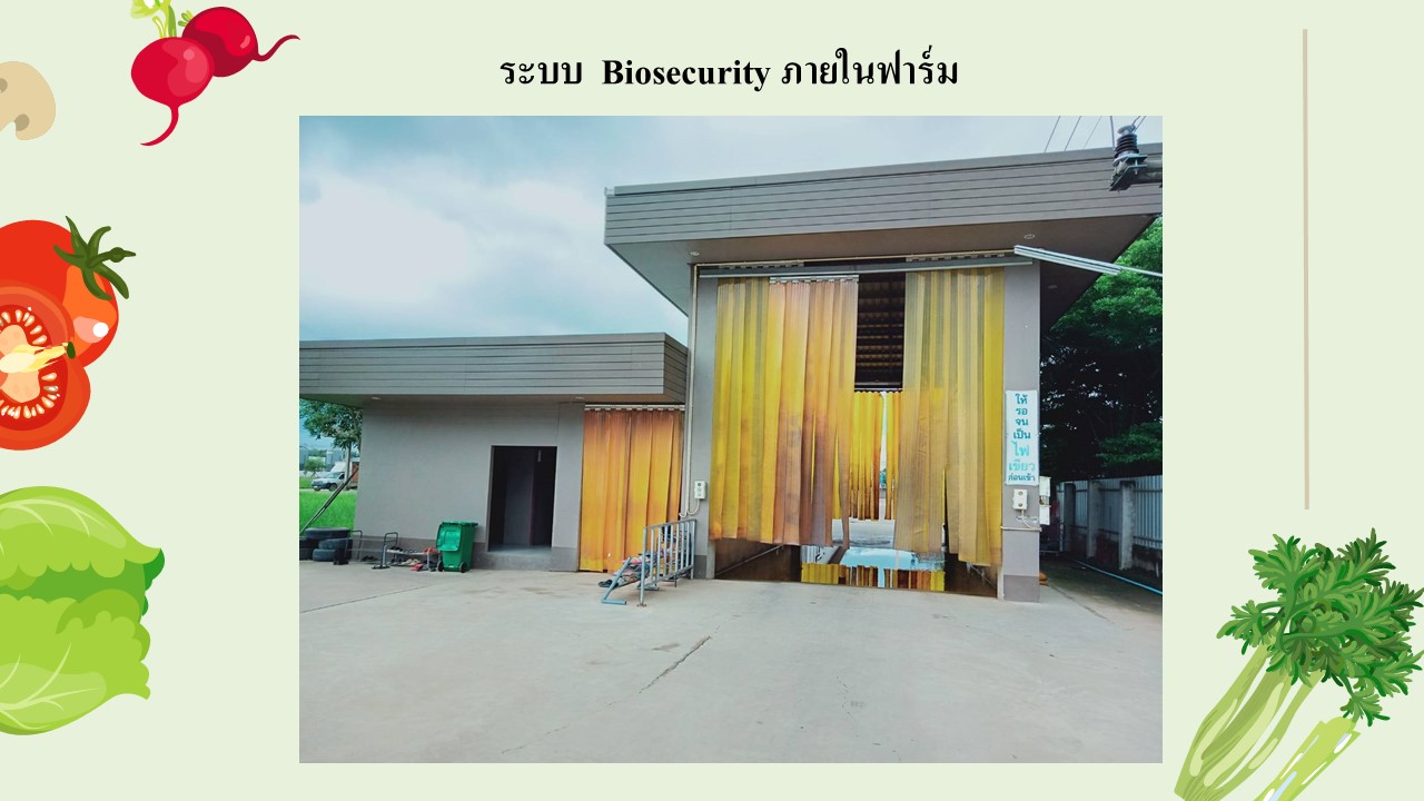 สไลด6
