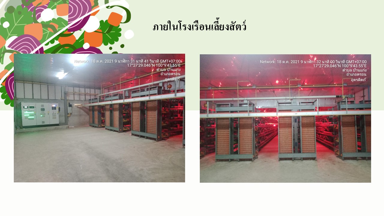สไลด8