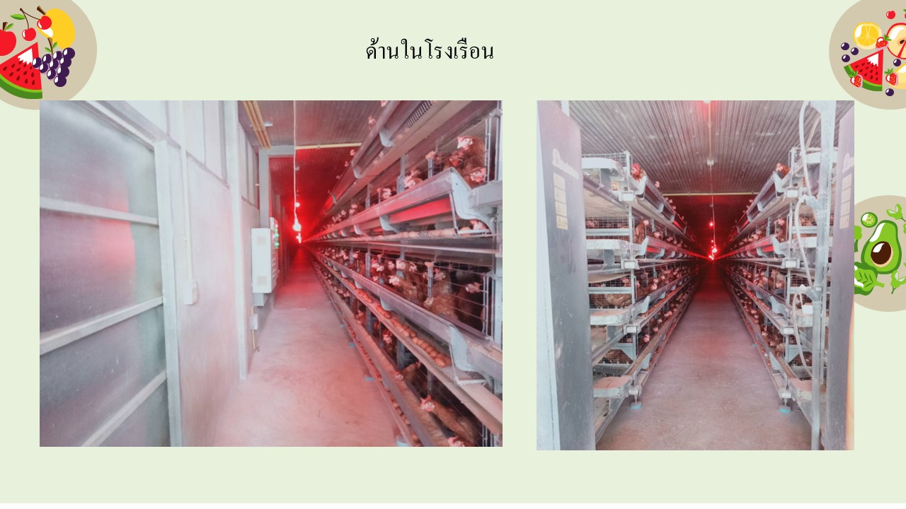 สไลด9