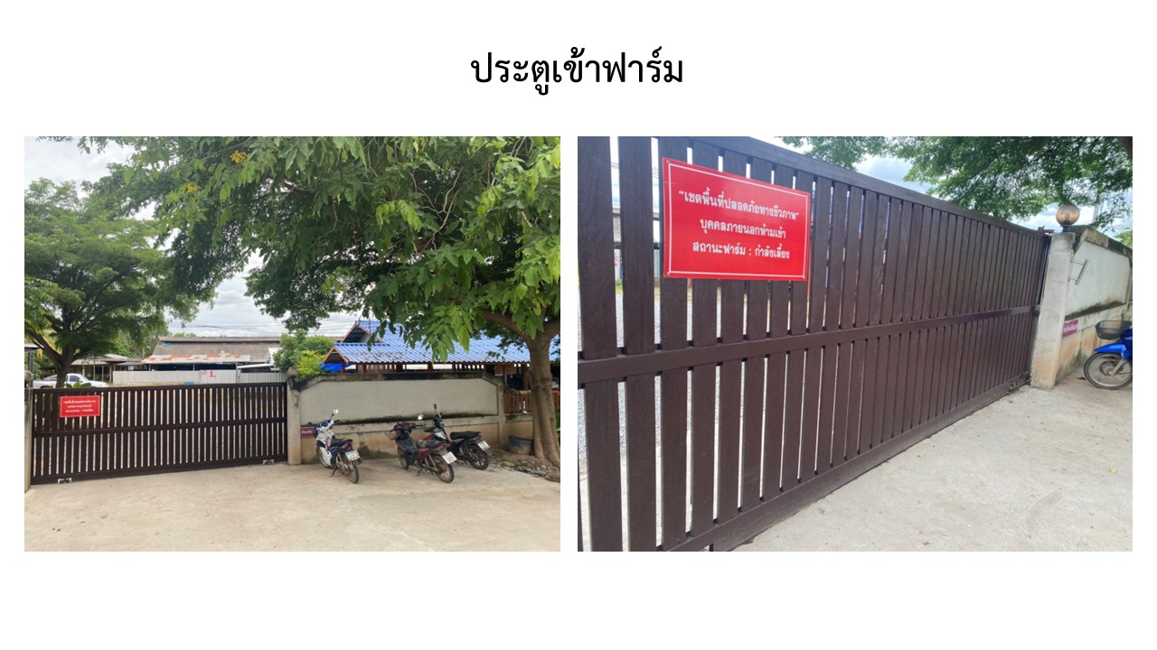 สไลด2