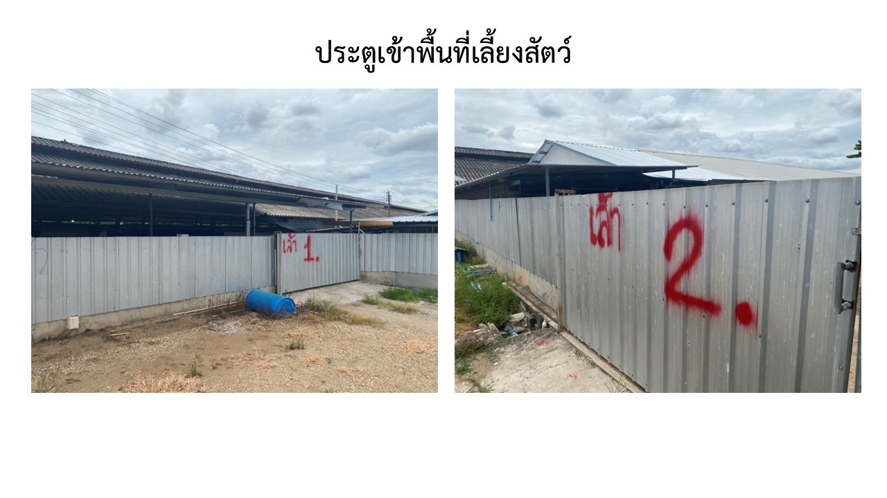 สไลด3