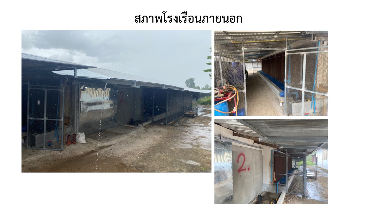 สไลด5