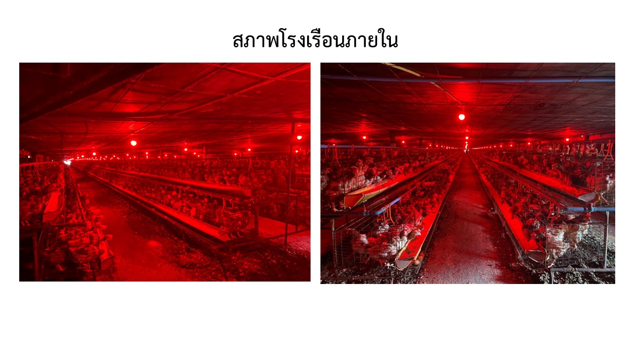 สไลด6