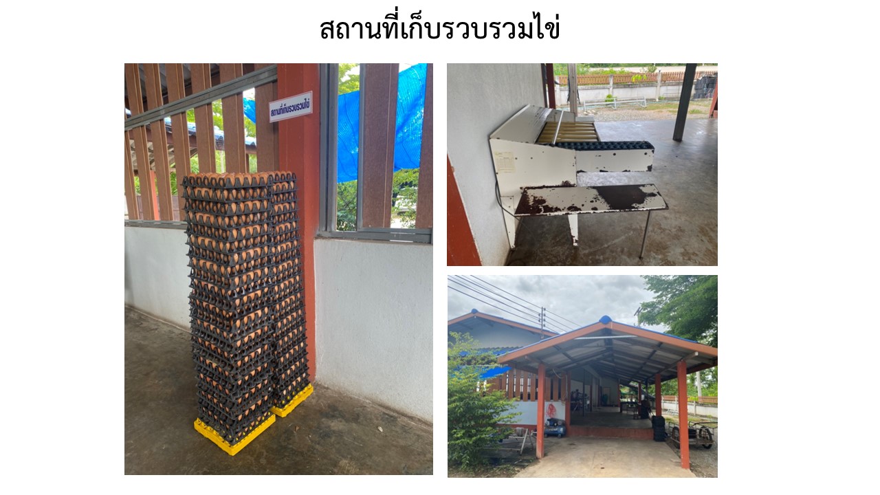 สไลด7