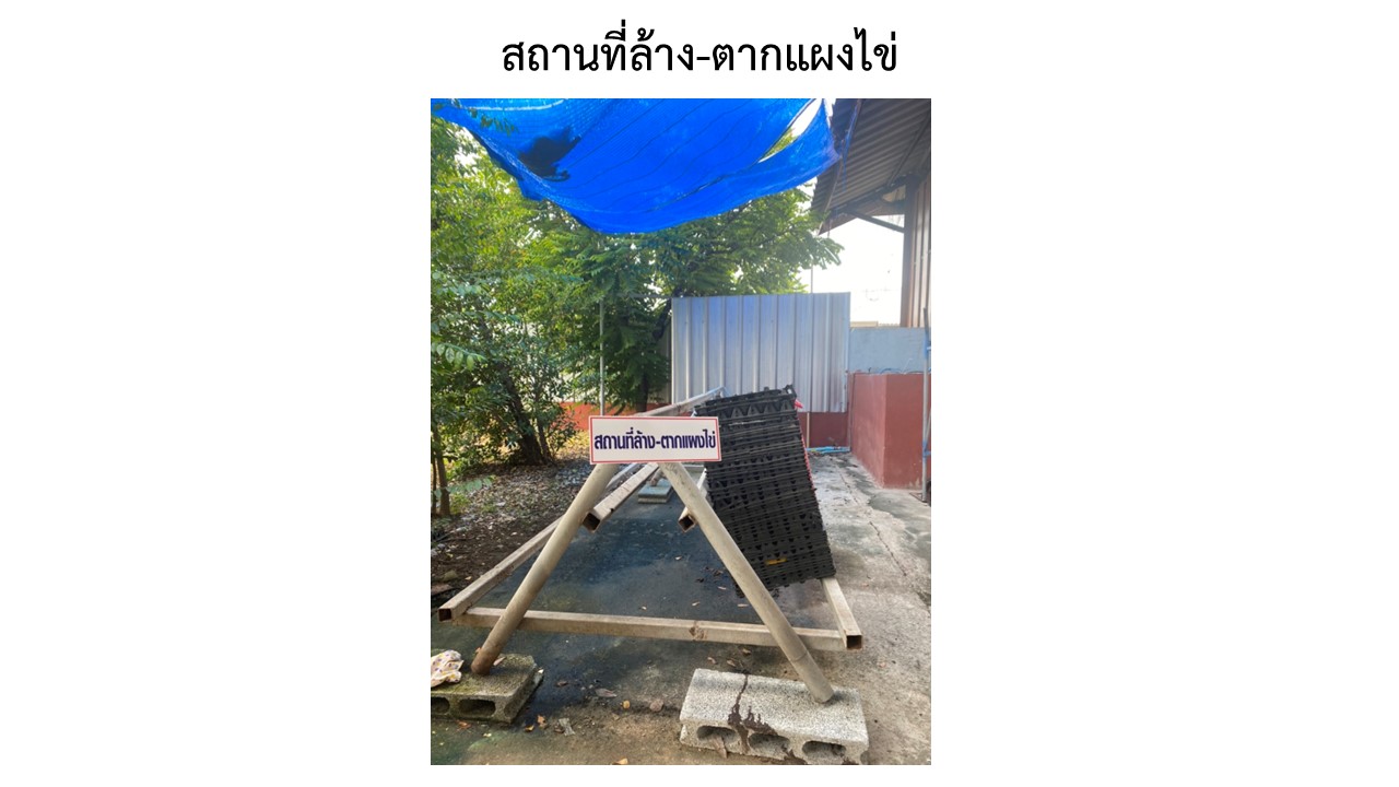 สไลด8