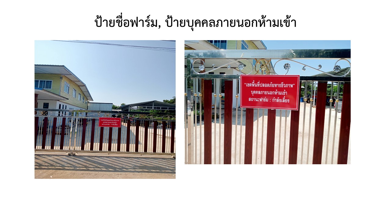 สไลด2