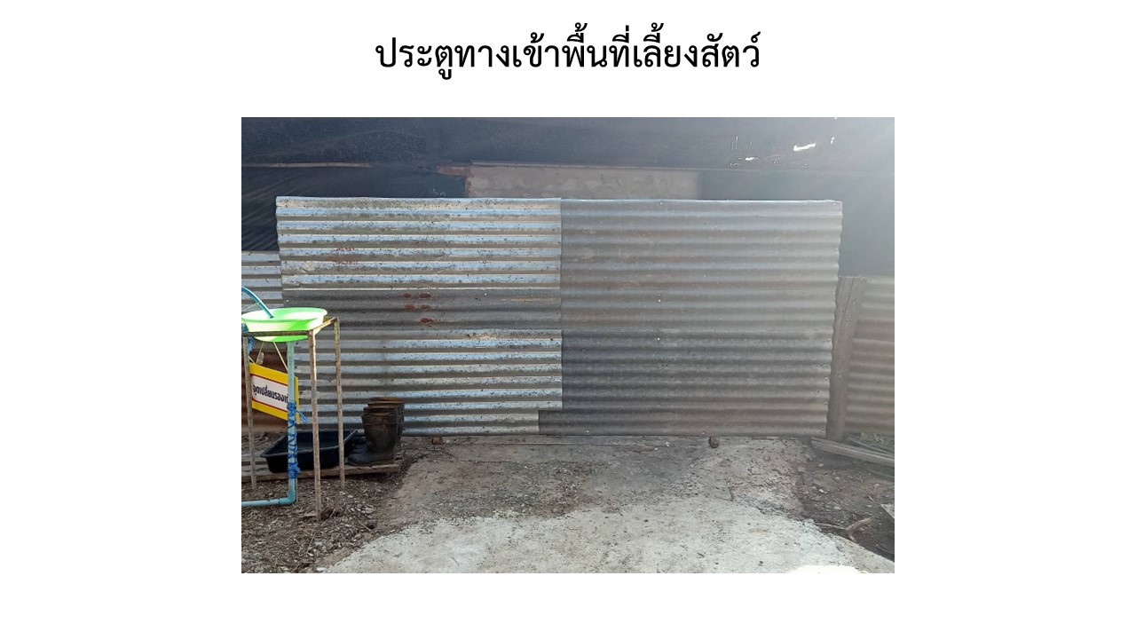 สไลด3