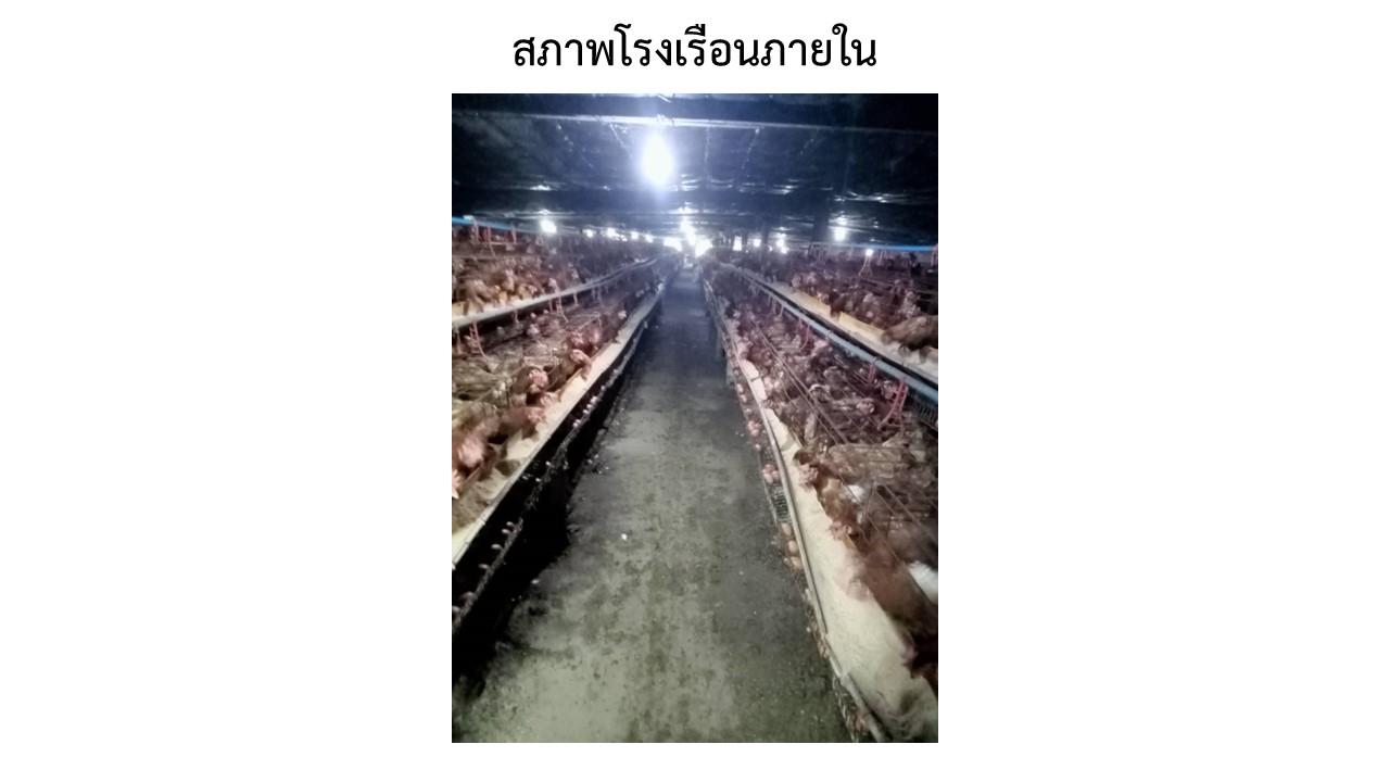 สไลด5