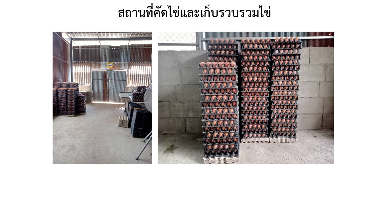 สไลด6
