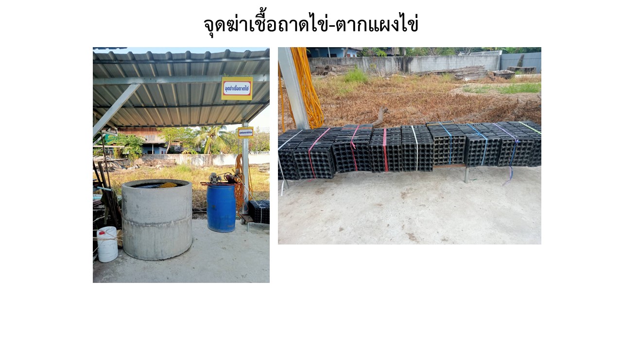 สไลด7