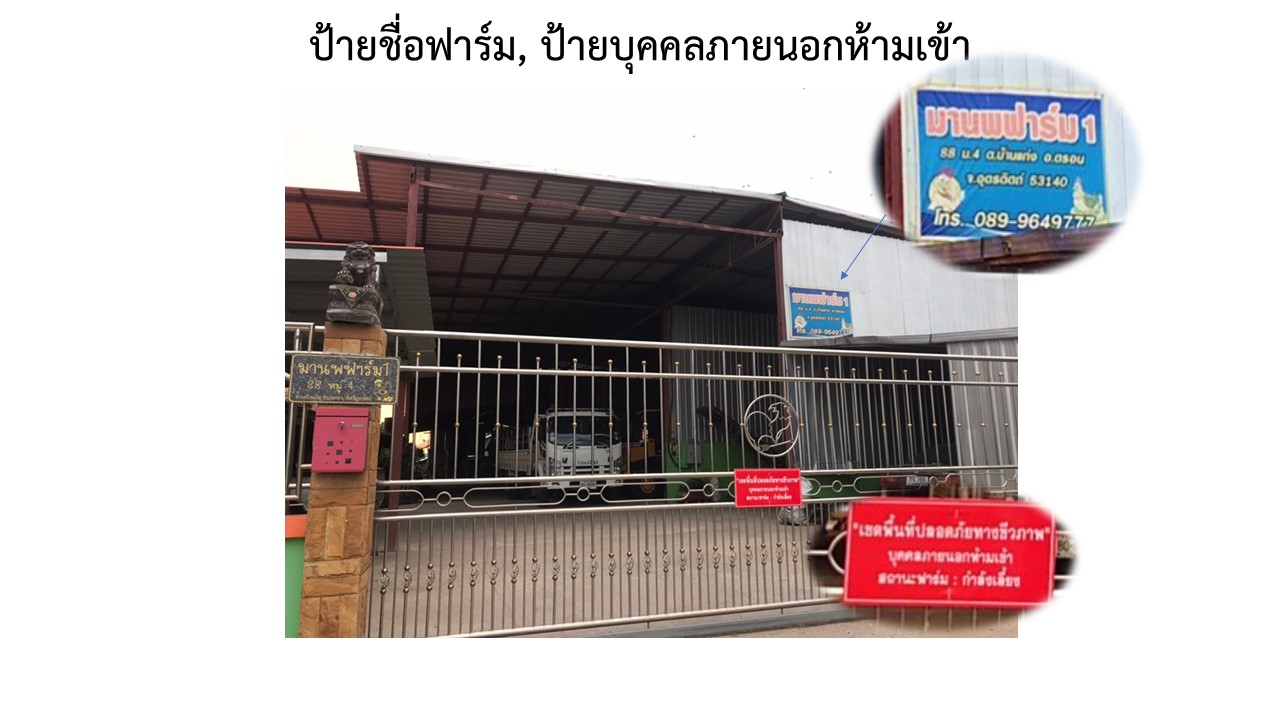สไลด2
