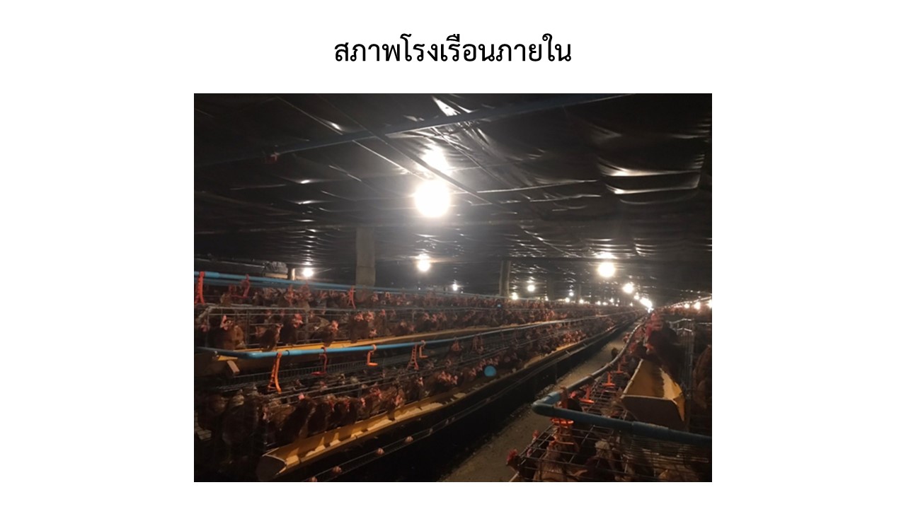 สไลด6
