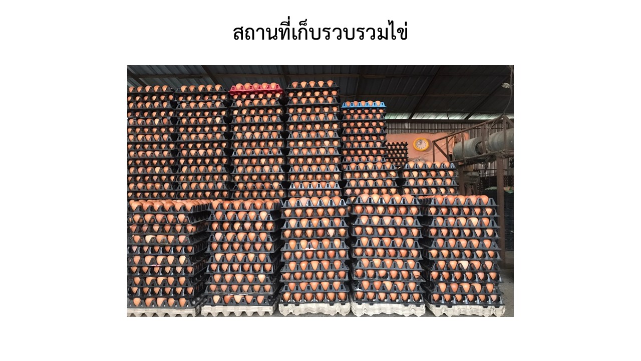สไลด7