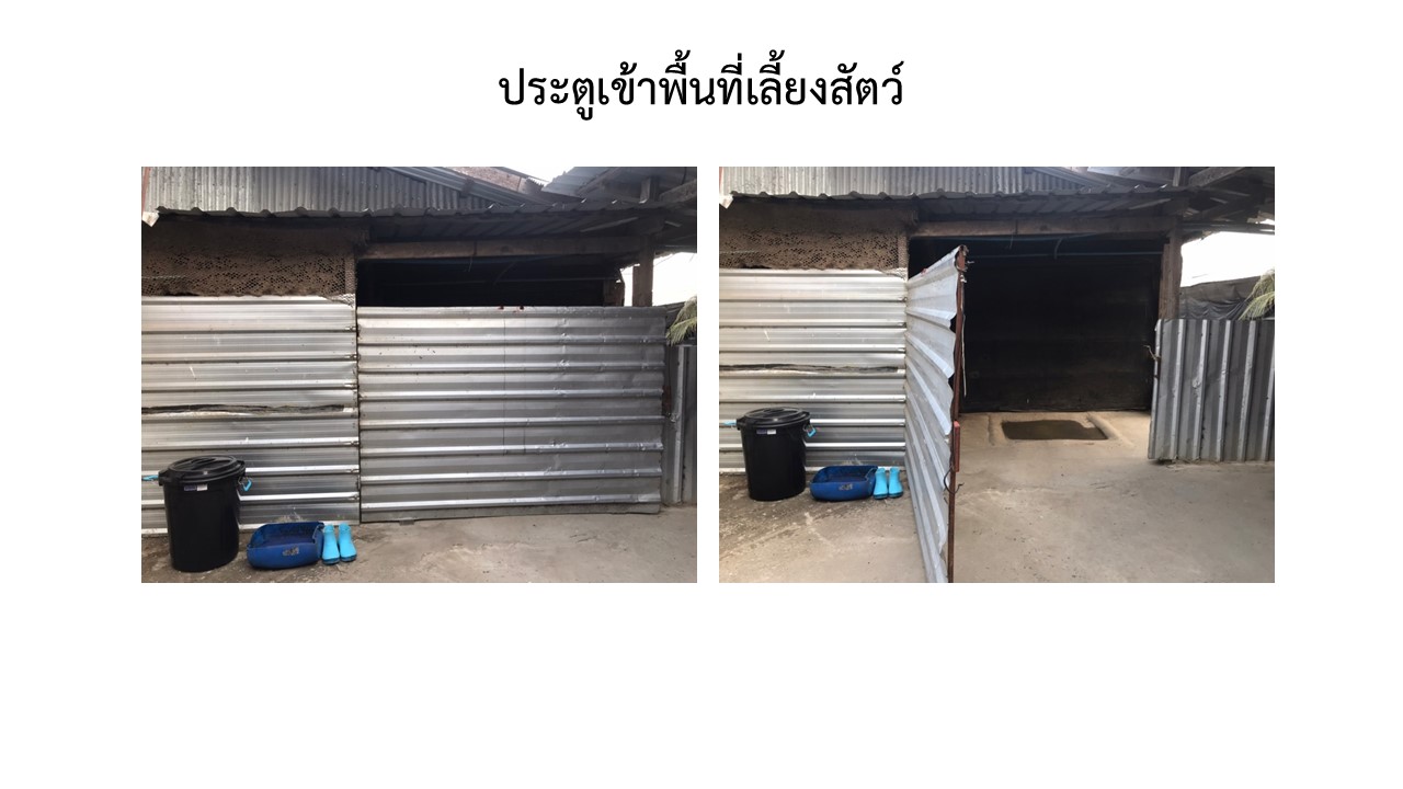สไลด3