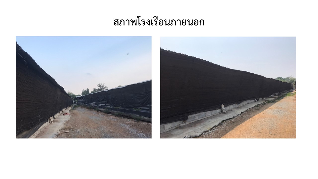 สไลด5
