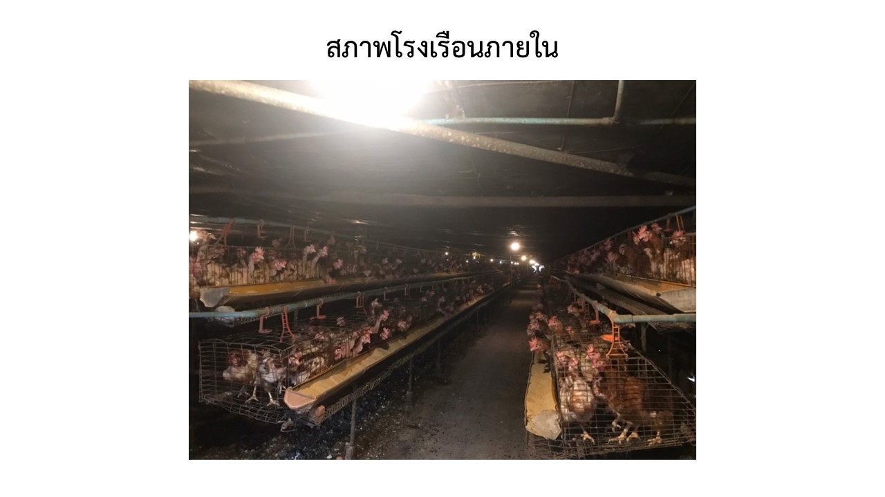 สไลด6