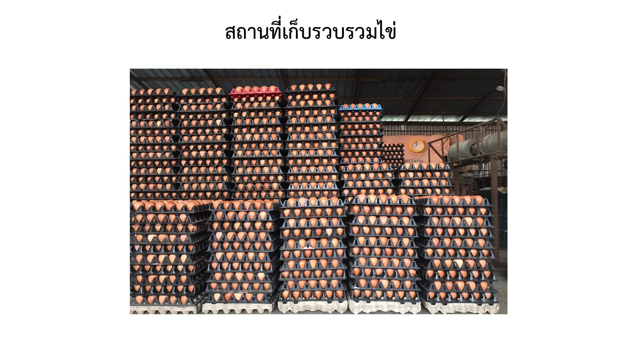 สไลด7