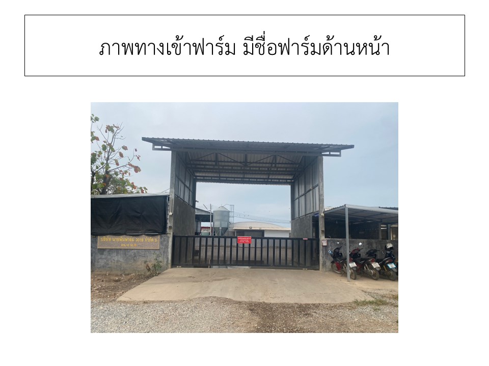 สไลด2