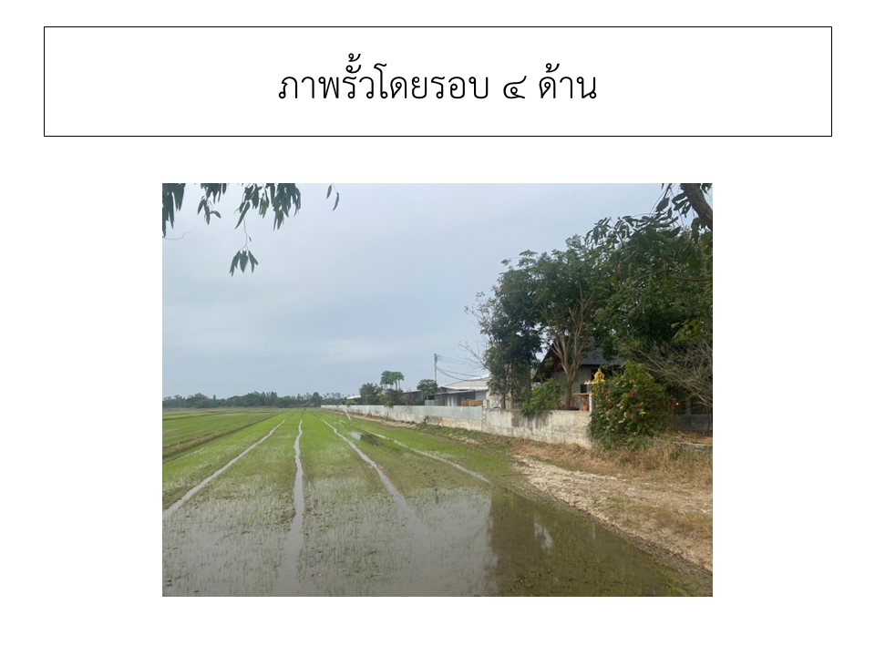 สไลด3