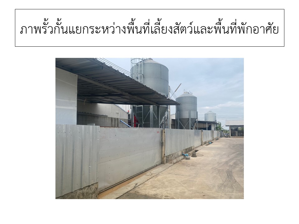 สไลด5