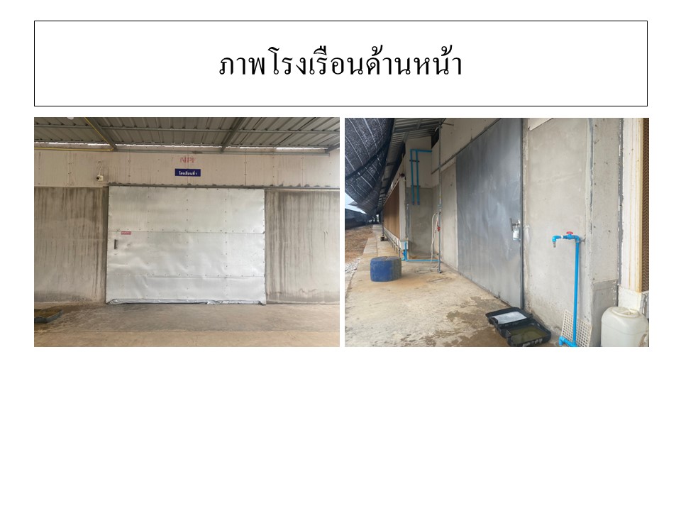 สไลด6