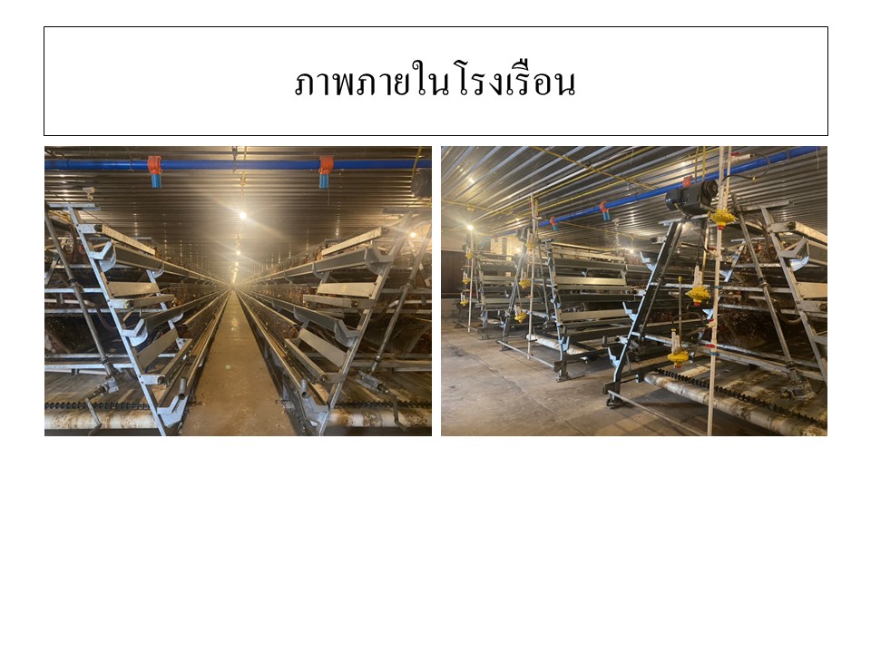 สไลด7