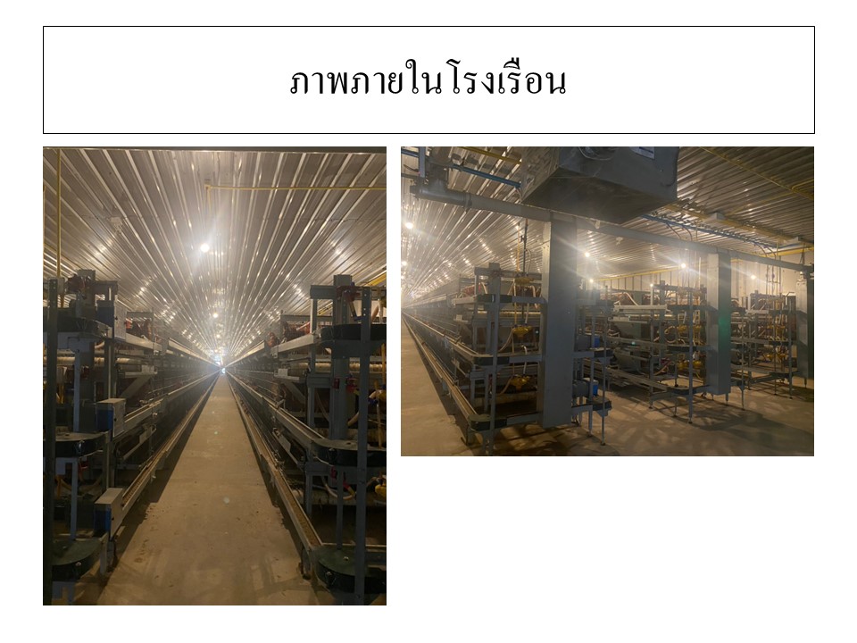 สไลด8
