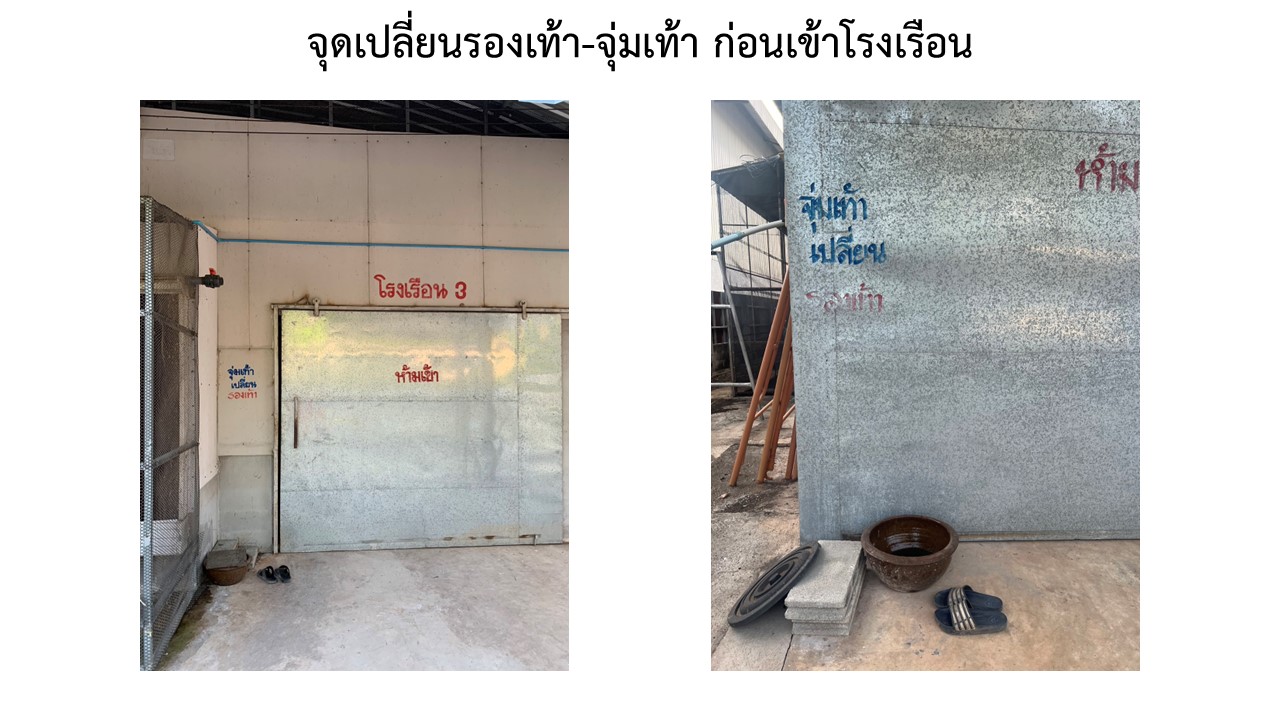 สไลด12