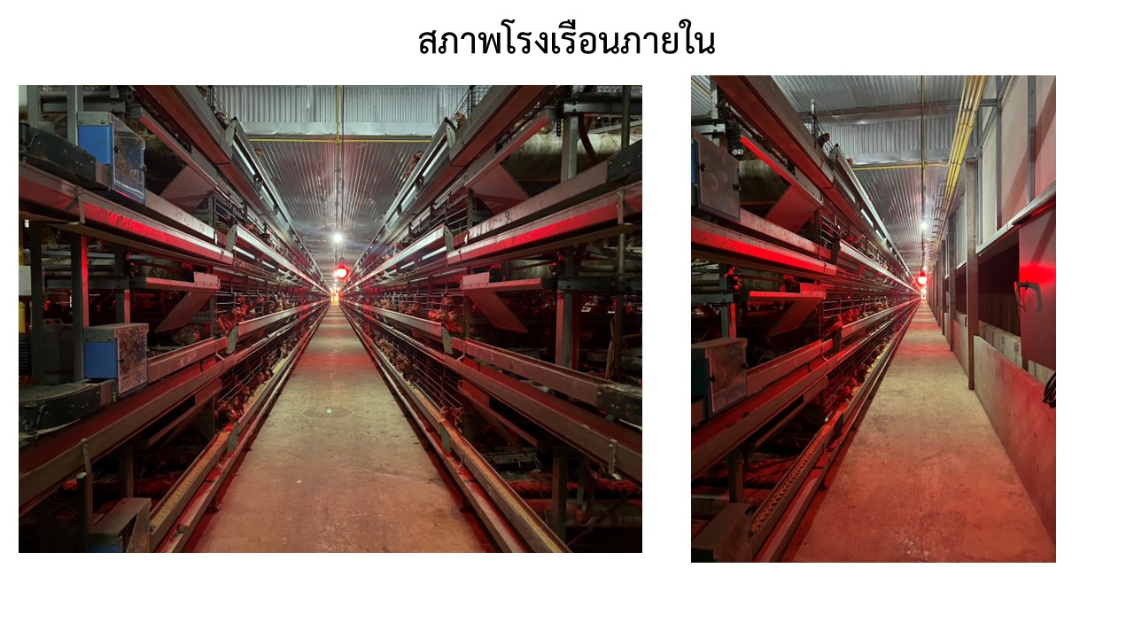 สไลด16