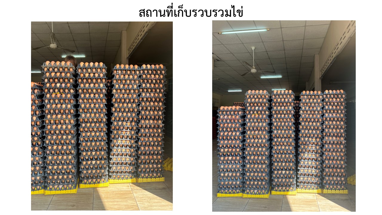 สไลด22