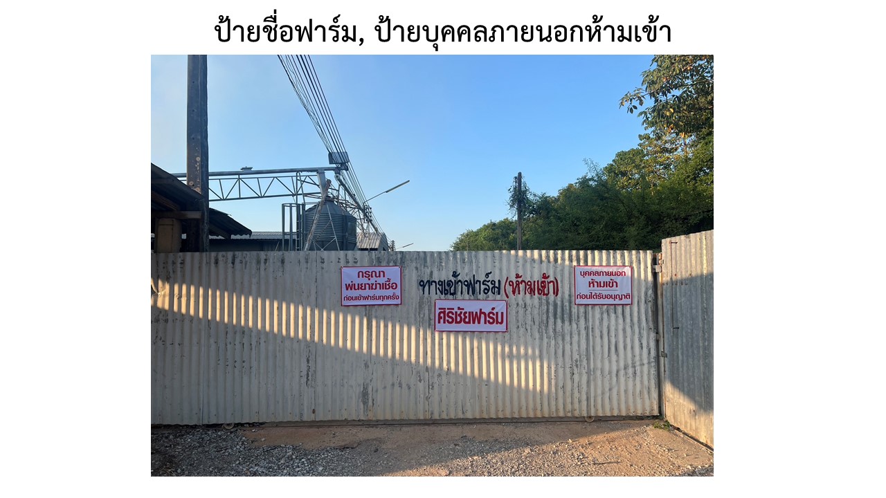 สไลด3