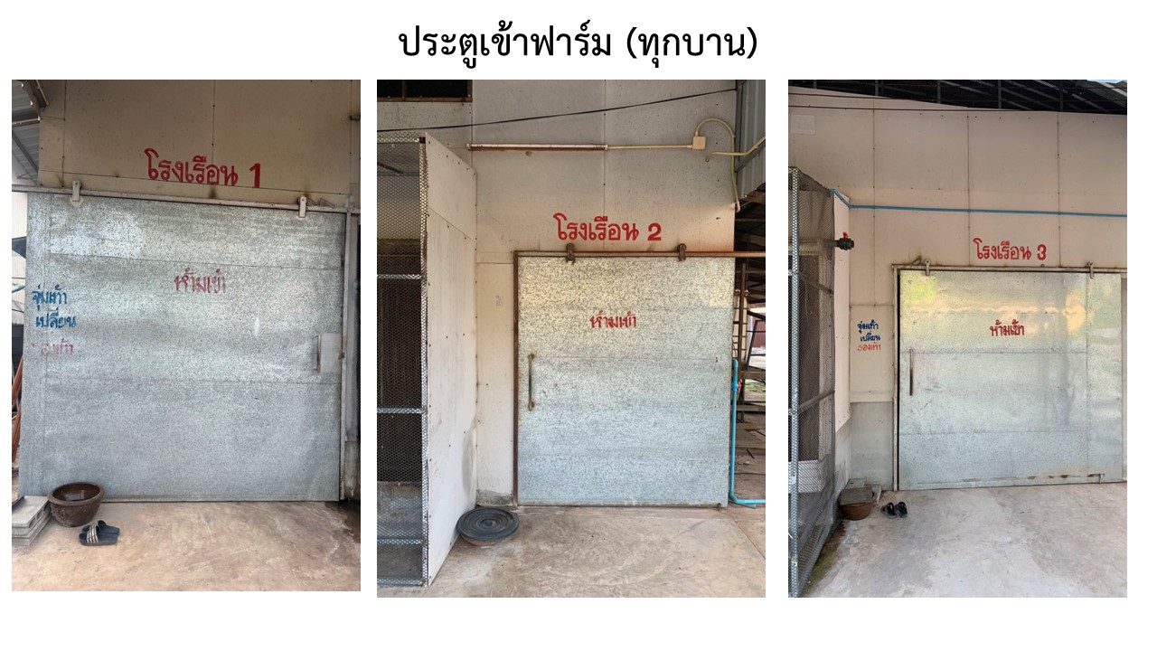 สไลด4