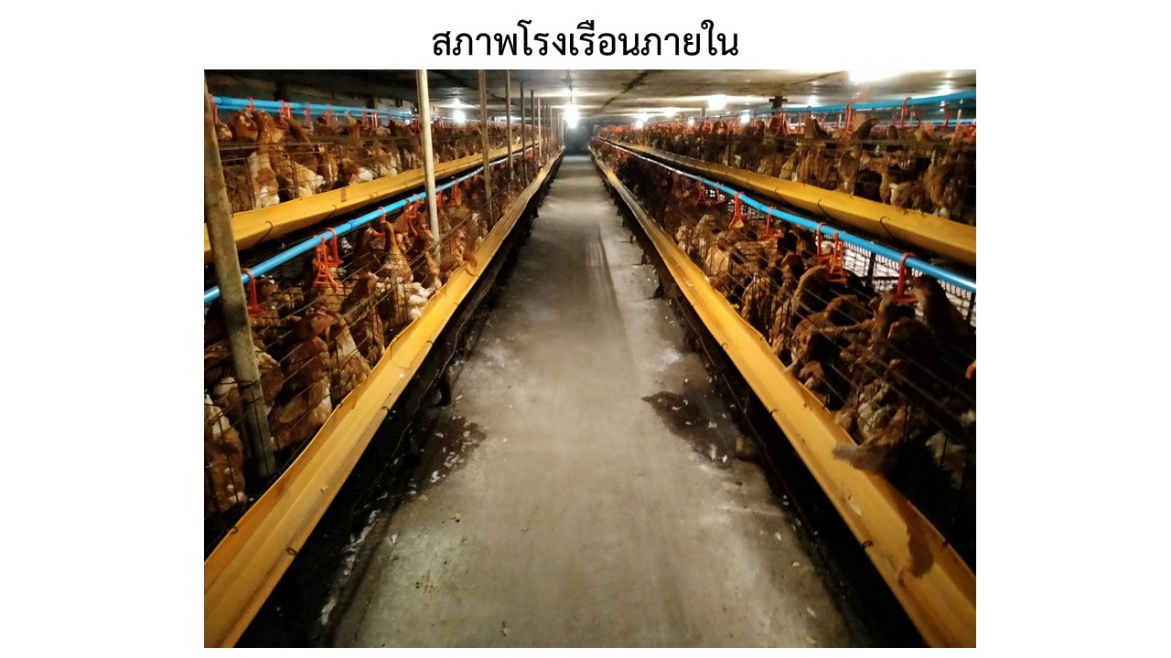 สไลด4