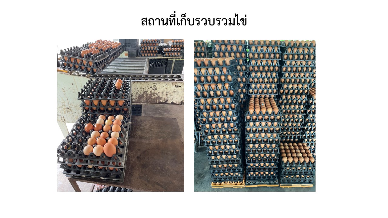 สไลด5