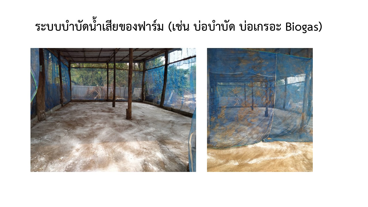 สไลด6