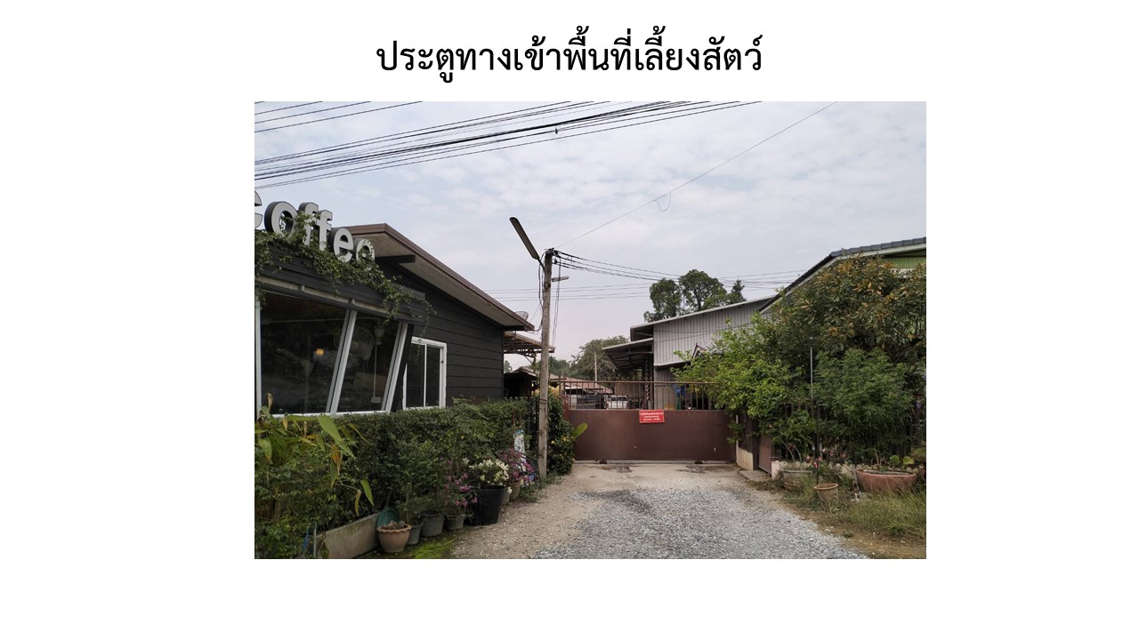 สไลด2