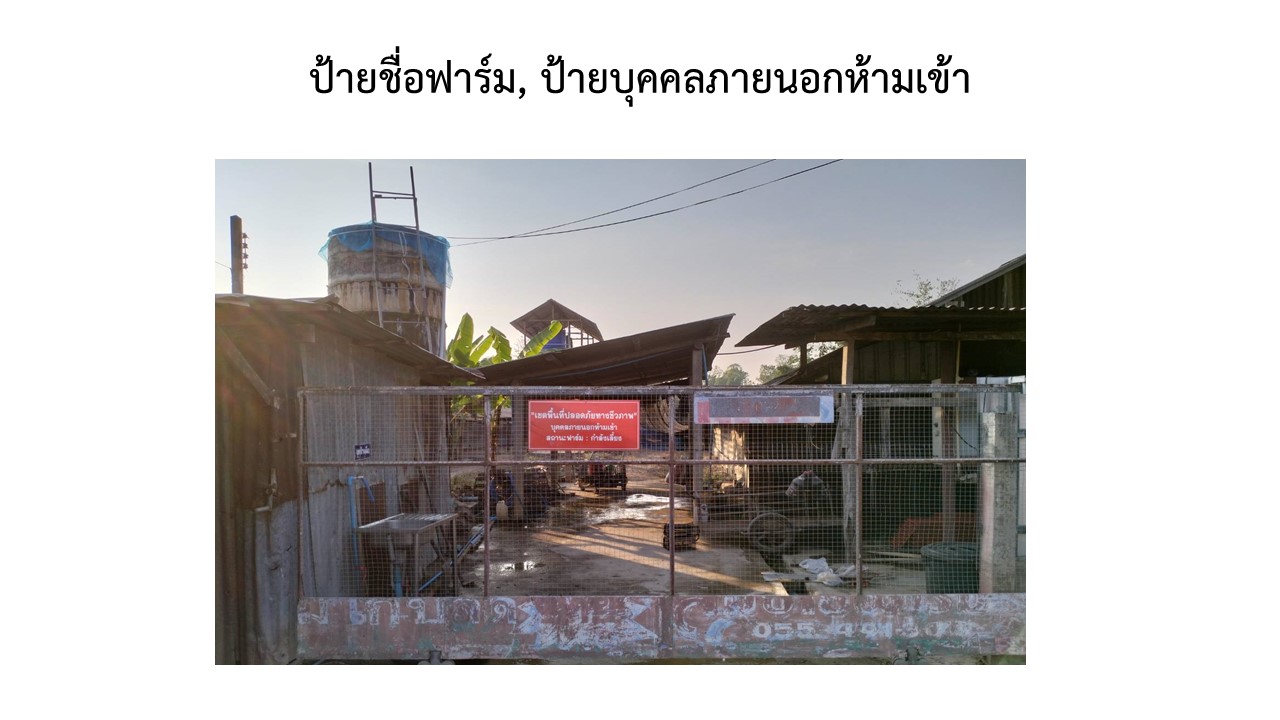 สไลด3