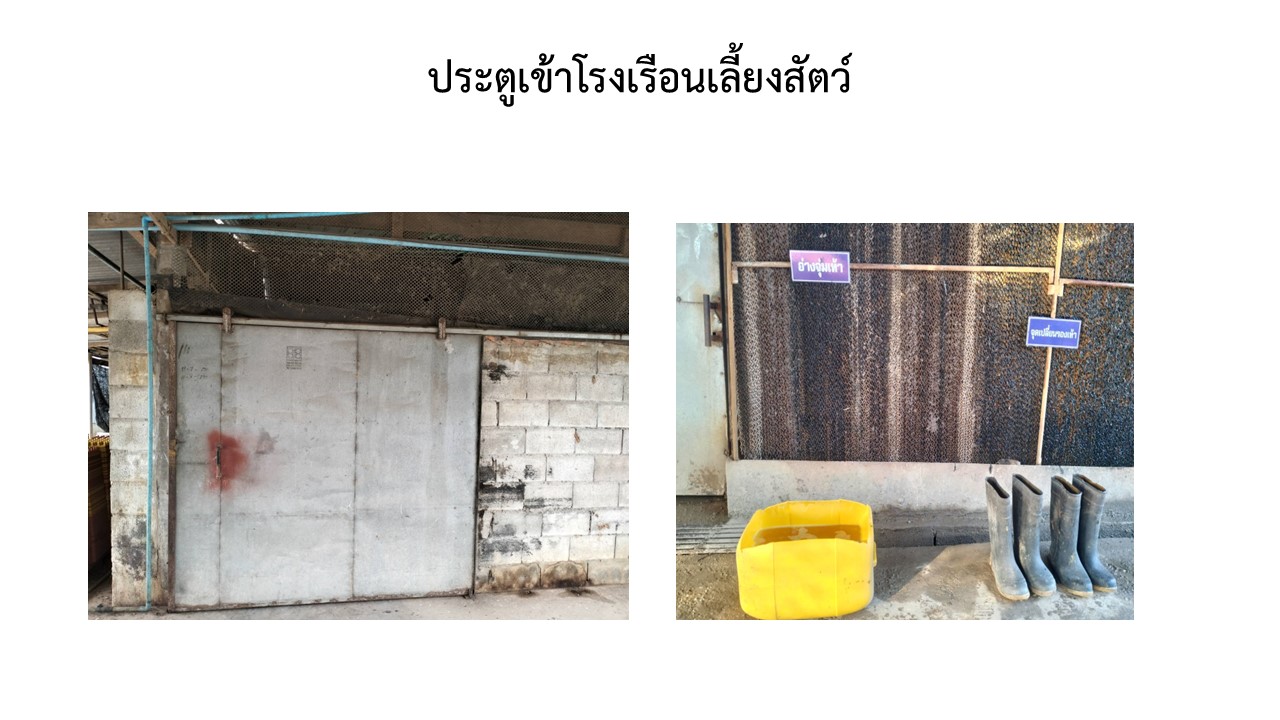สไลด4