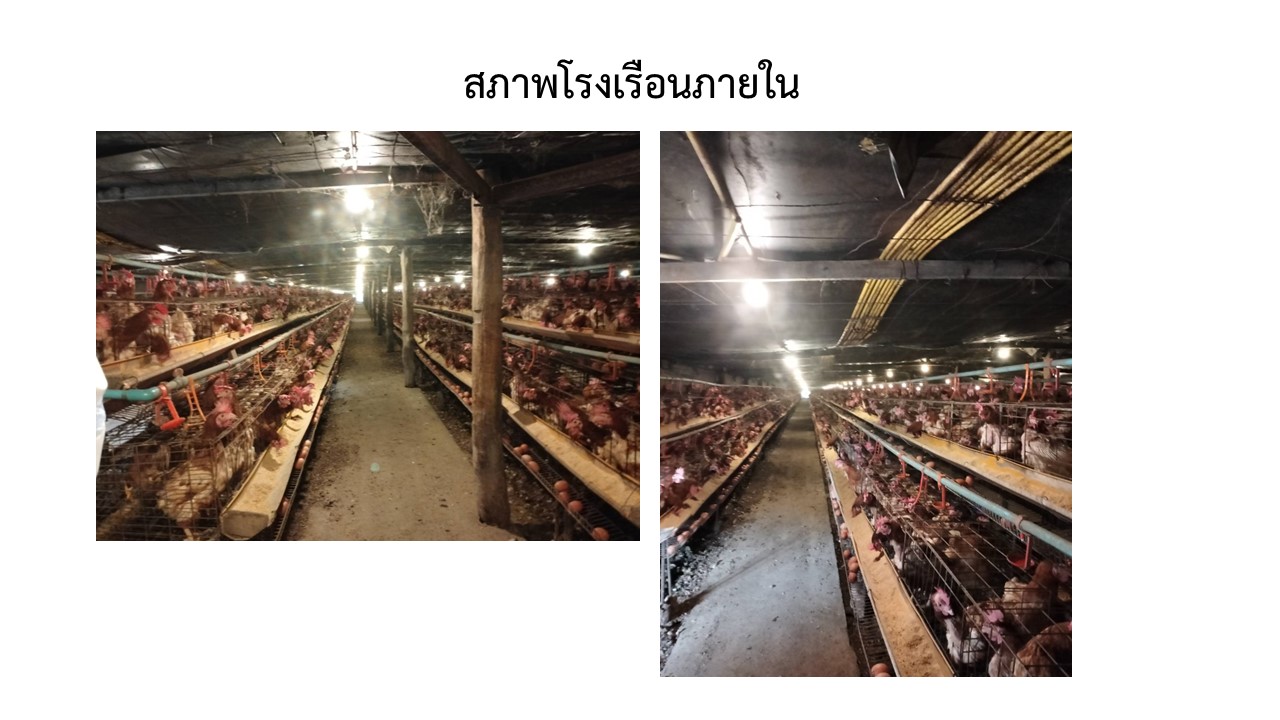 สไลด7